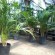 Areca: una planta de interior de la familia de las Palmáceas, que se adapta bien en zonas de interior.