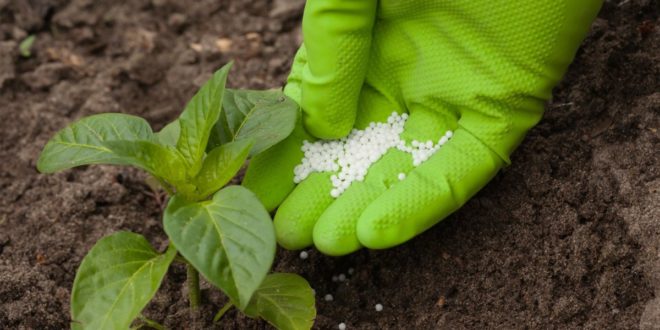 El Cabildo enseña el uso correcto de los fertilizantes para los cultivos