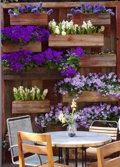 Poner tus plantas y flores en vertical