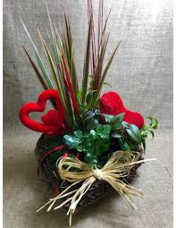 Flores y plantas, protagonistas de San Valentín